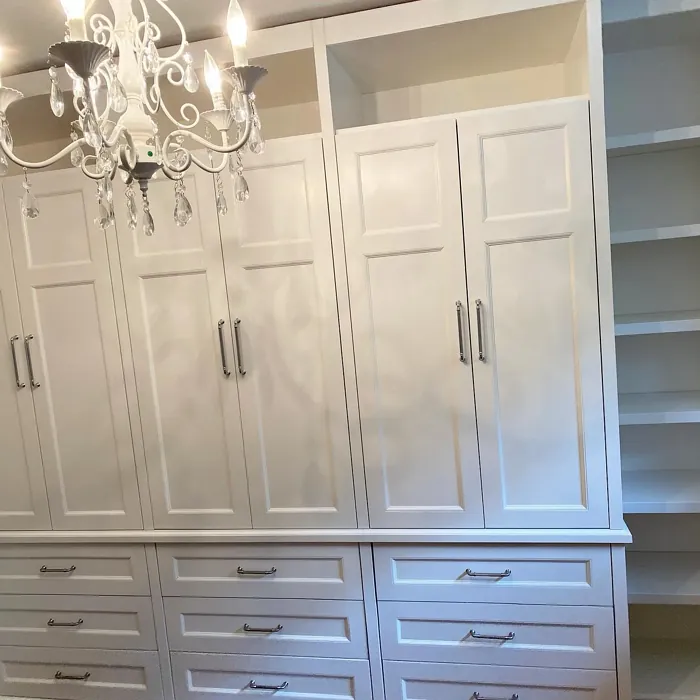 Benjamin Moore White Opulence painted cabinets color