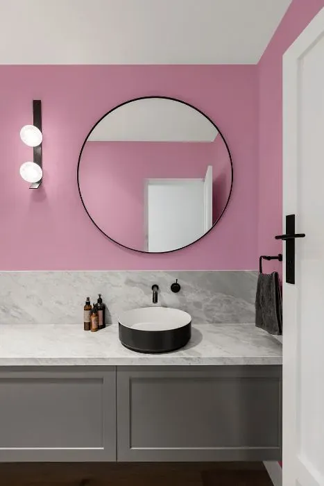 Benjamin Moore Wild Heart minimalist bathroom