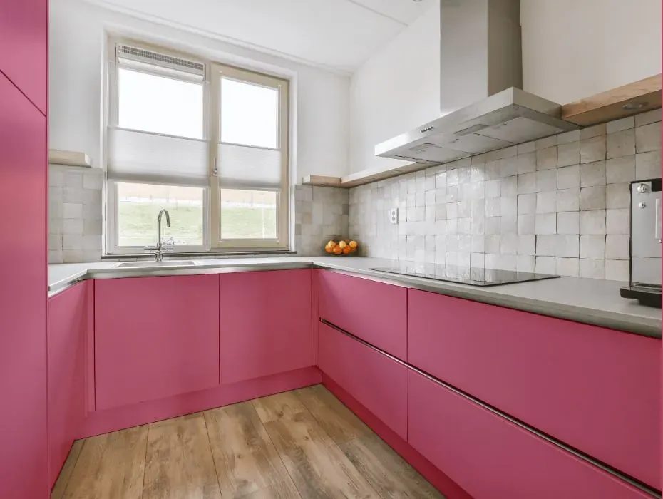 Benjamin Moore Wild Pink small kitchen cabinets