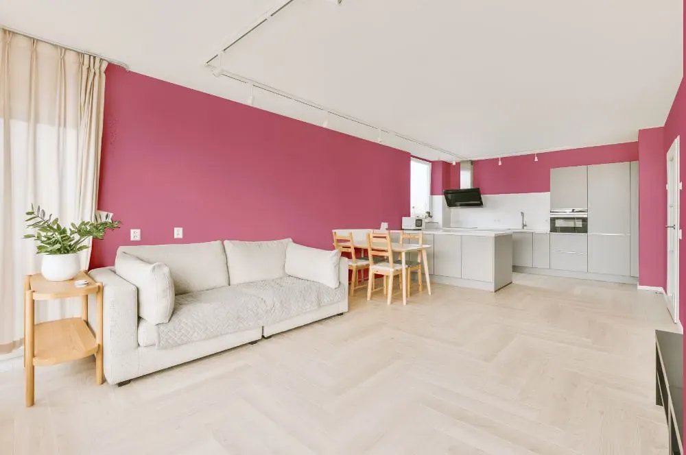 Benjamin Moore Wild Pink living room interior