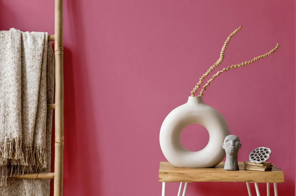 Benjamin Moore Wild Pink wall