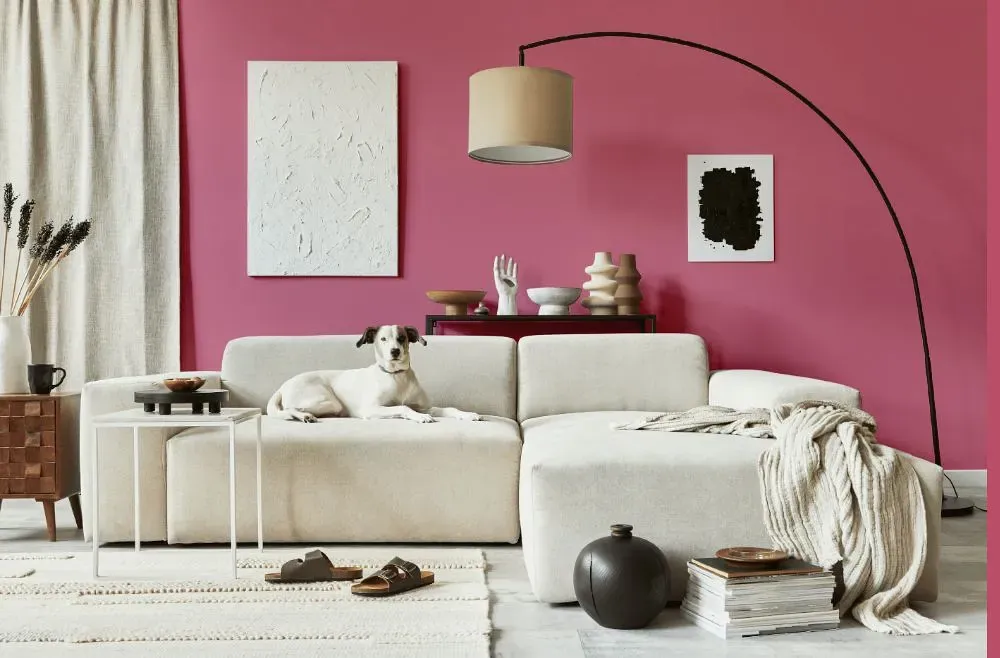 Benjamin Moore Wild Pink cozy living room