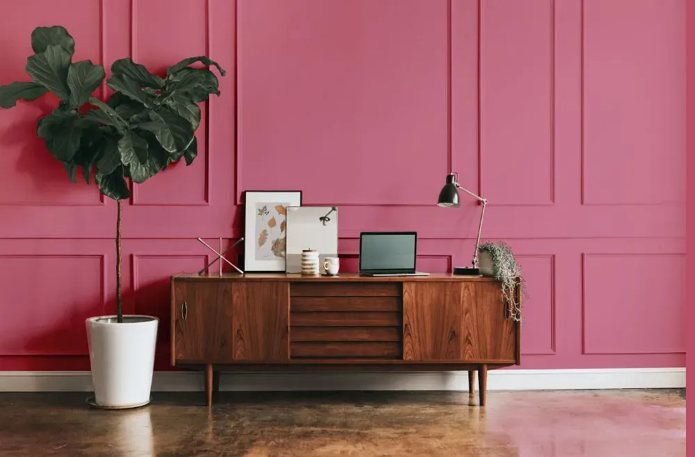 Benjamin Moore Wild Pink modern interior