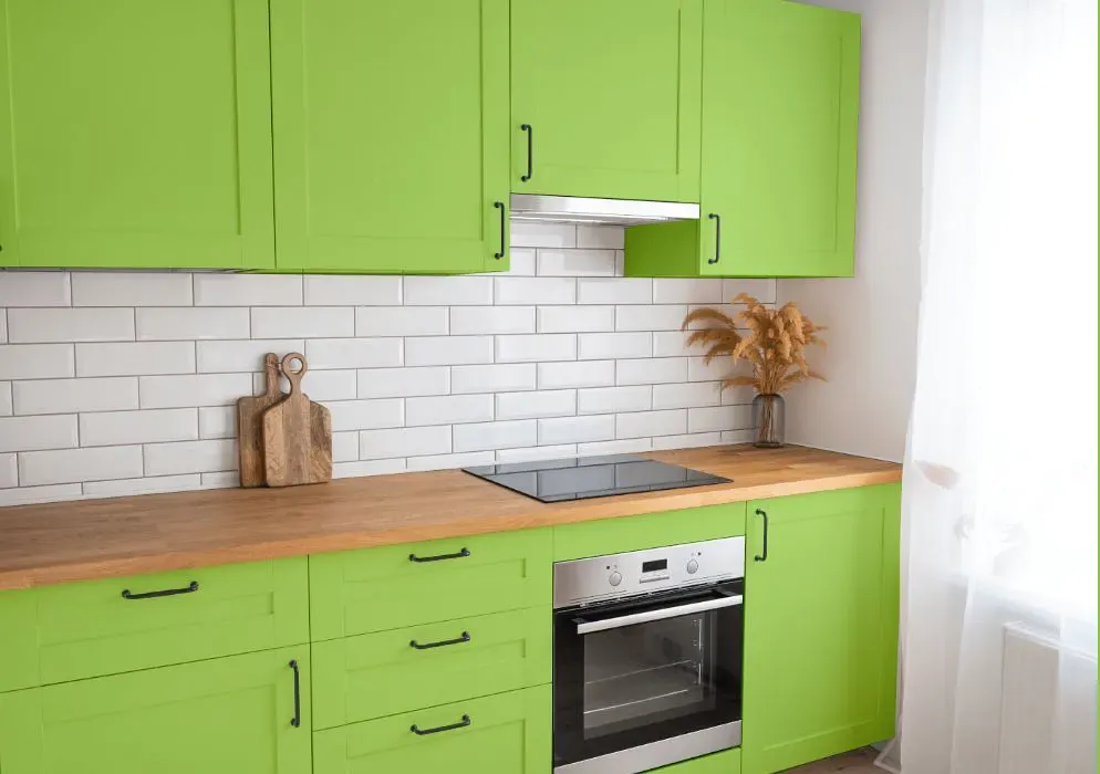 Benjamin Moore Willow Springs Green kitchen cabinets