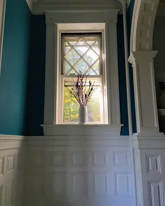 Wilmington Spruce wall paint review