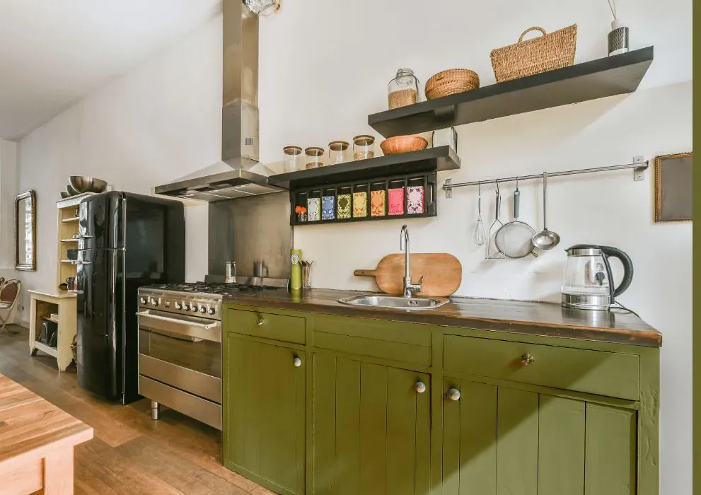 Benjamin Moore Winding Vines kitchen cabinets
