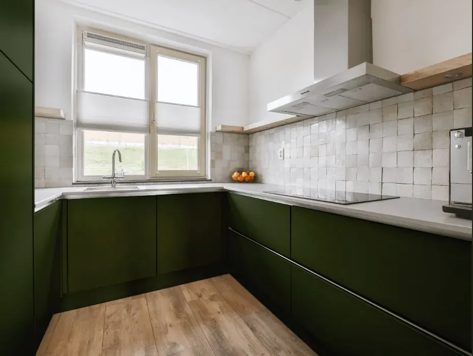 Benjamin Moore Windsor Green small kitchen cabinets