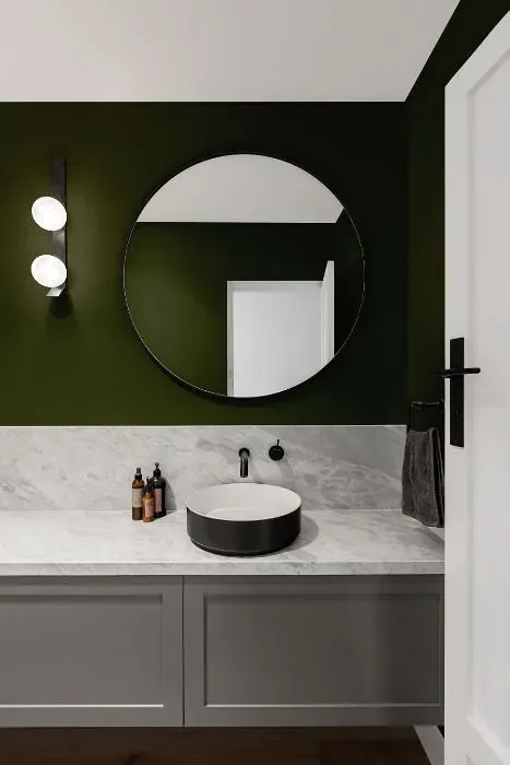 Benjamin Moore Windsor Green minimalist bathroom