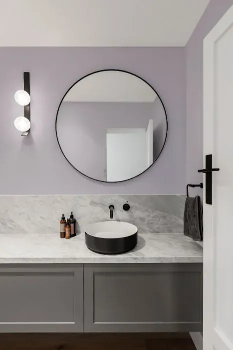 Benjamin Moore Winter Gray minimalist bathroom