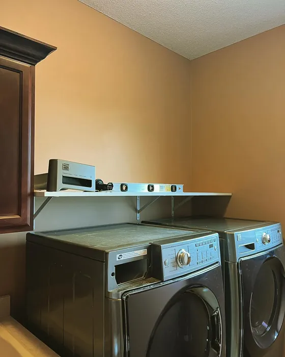 Benjamin Moore Winthrop Peach laundry room paint review