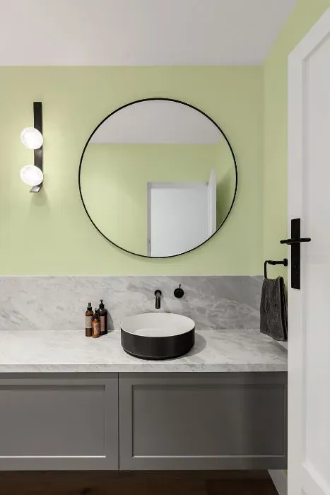 Benjamin Moore Wispy Green minimalist bathroom