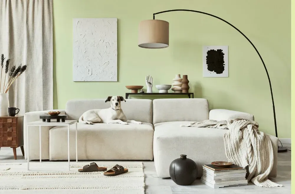 Benjamin Moore Wispy Green cozy living room