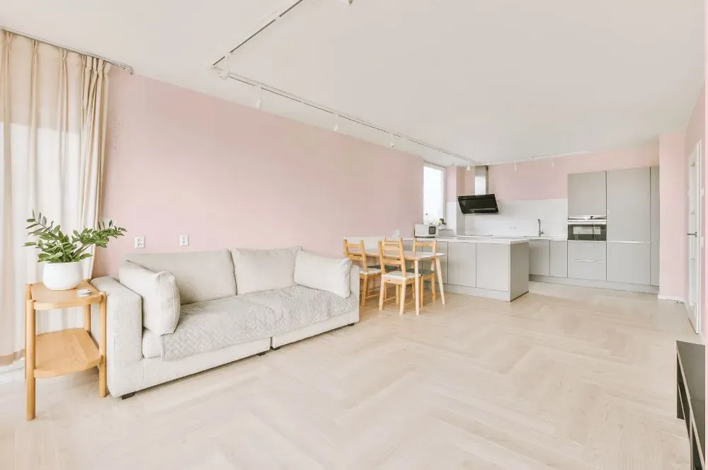 Benjamin Moore Wispy Pink living room interior