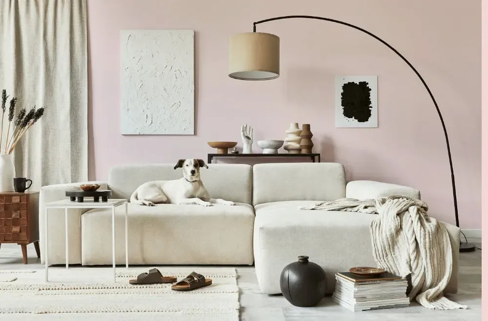 Benjamin Moore Wispy Pink cozy living room