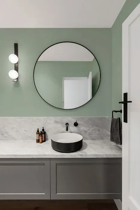 Benjamin Moore Woodland Green minimalist bathroom