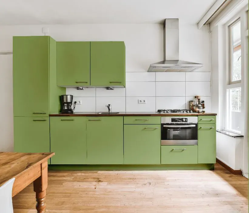 Benjamin Moore Woodland Hills Green kitchen cabinets