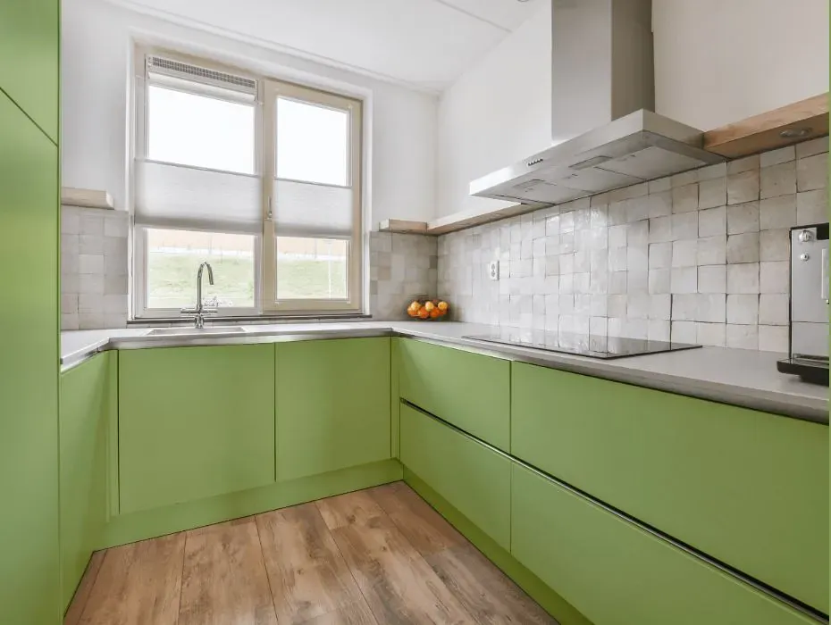 Benjamin Moore Woodland Hills Green small kitchen cabinets
