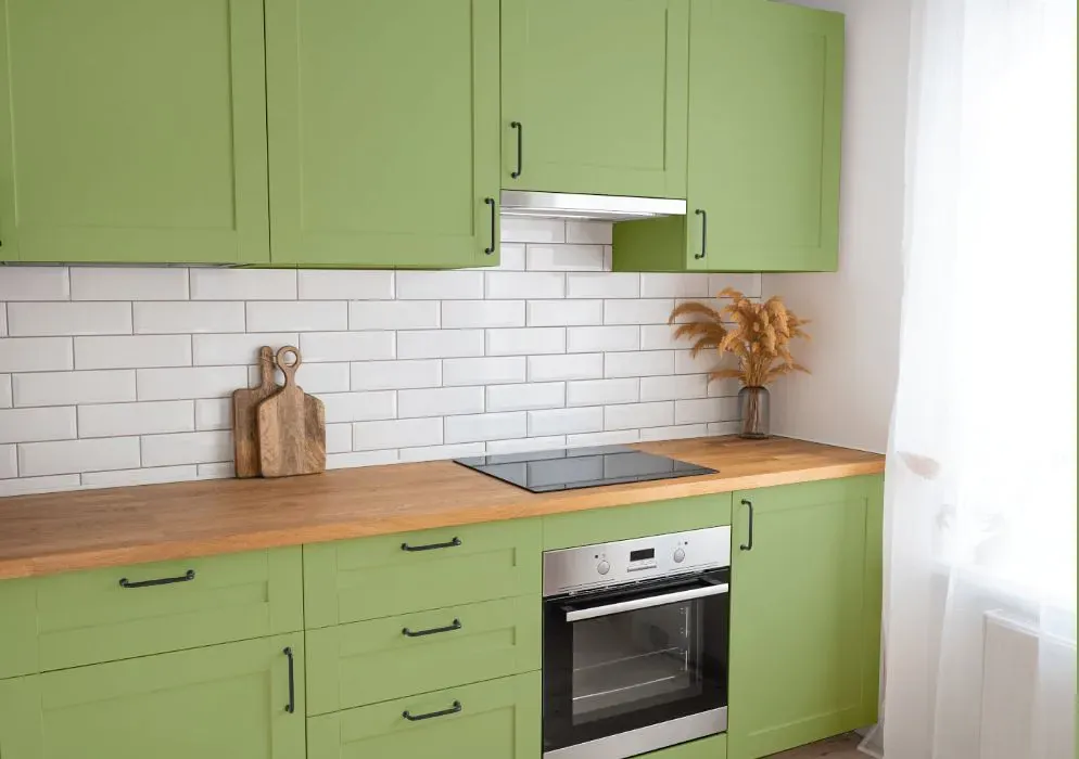 Benjamin Moore Woodland Hills Green kitchen cabinets