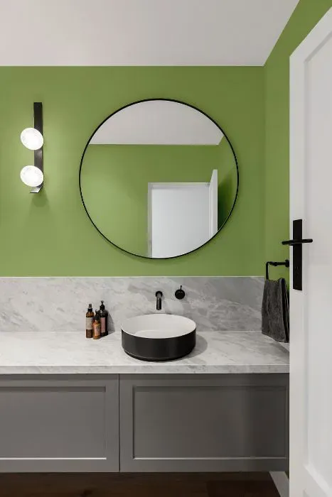 Benjamin Moore Woodland Hills Green minimalist bathroom