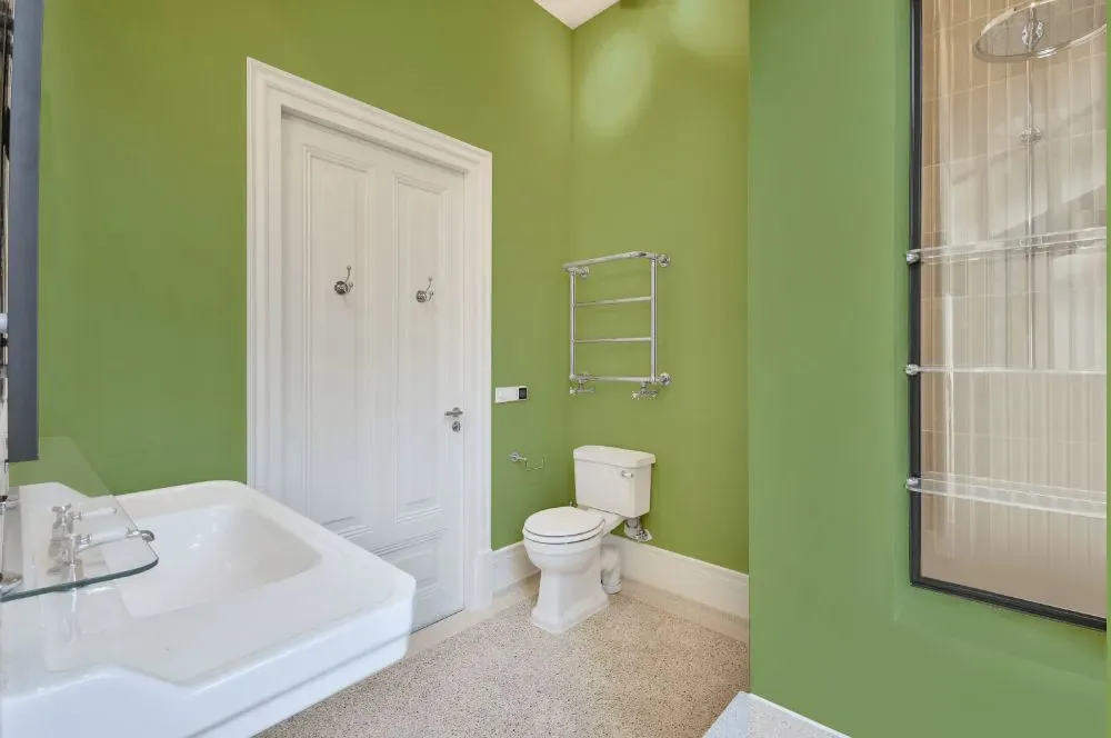 Benjamin Moore Woodland Hills Green bathroom