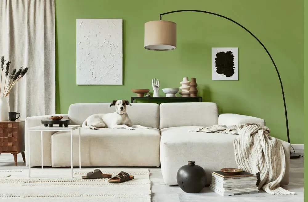 Benjamin Moore Woodland Hills Green cozy living room