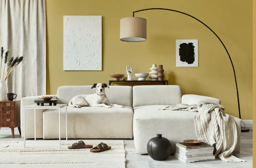 Benjamin Moore Wythe Gold cozy living room