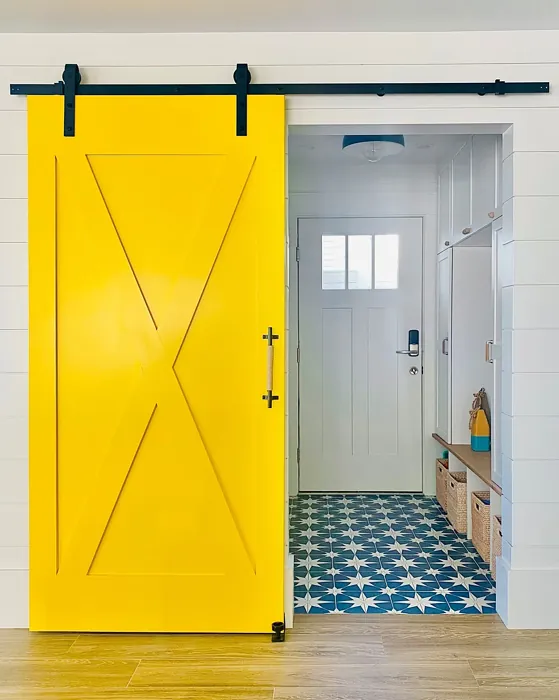 Benjamin Moore Yellow cozy door color