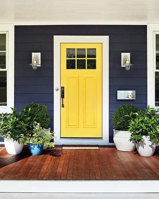 Benjamin Moore Yellow front door color