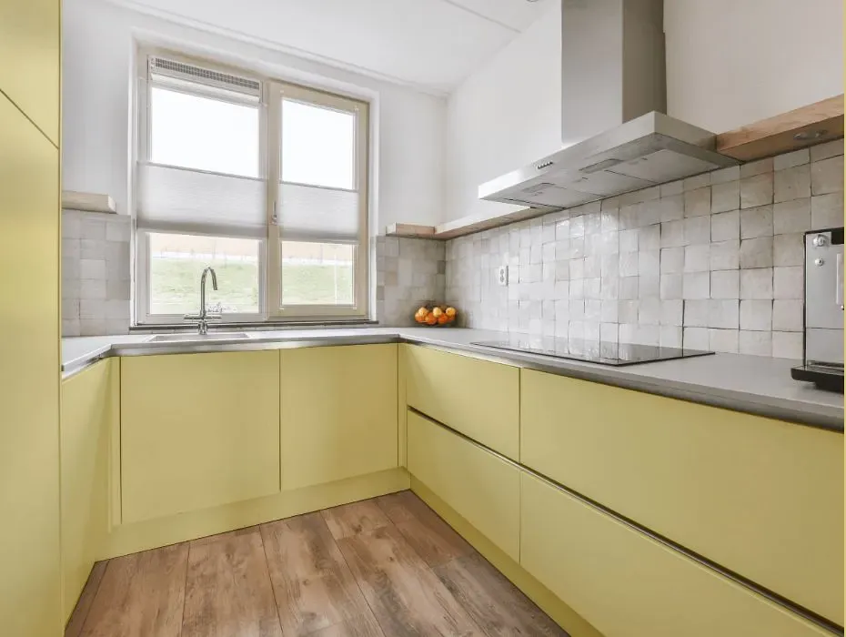 Benjamin Moore Yellow Clover small kitchen cabinets