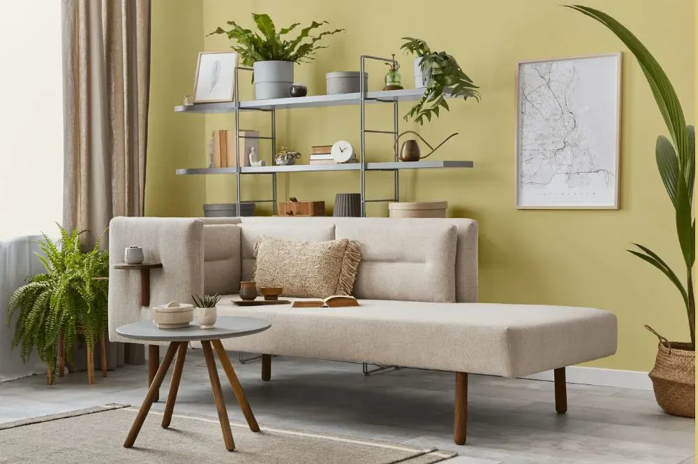 Benjamin Moore Yellow Clover living room