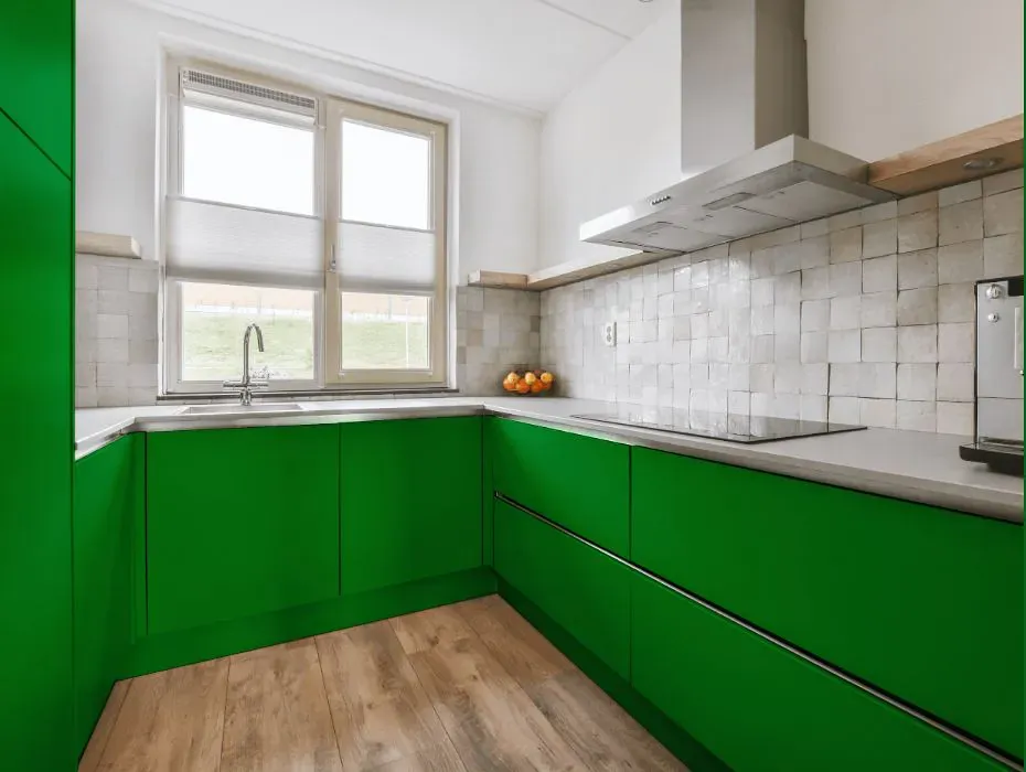 Benjamin Moore Yellow Green small kitchen cabinets