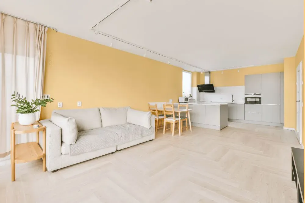 Benjamin Moore Yellow Haze living room interior