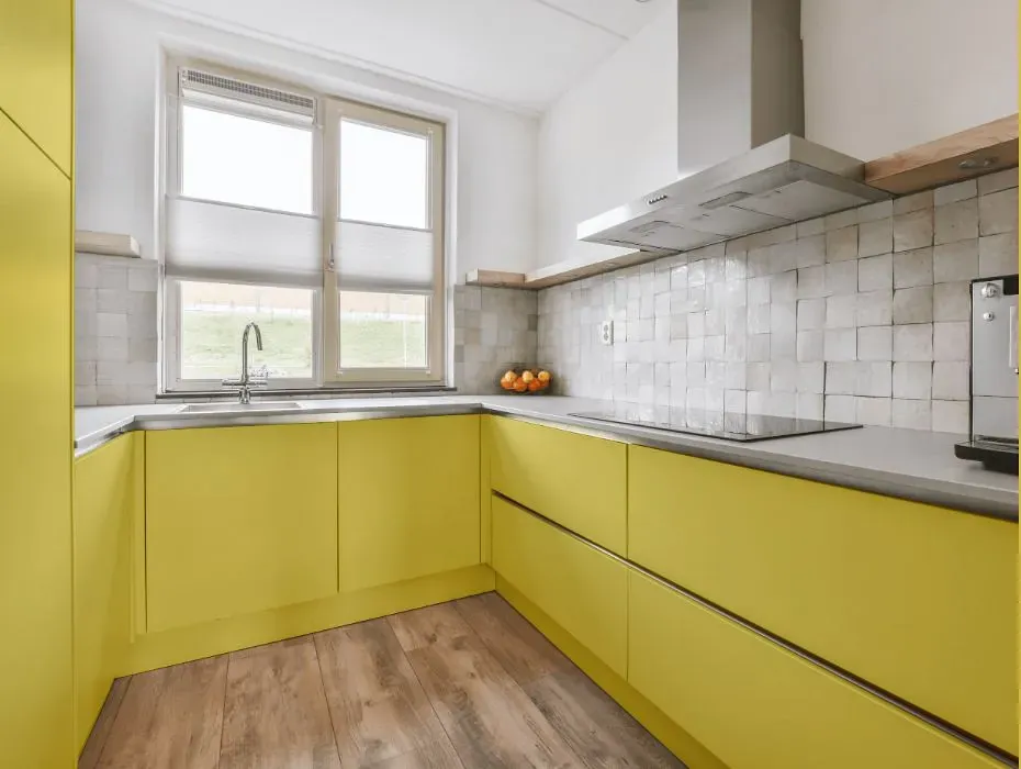 Benjamin Moore Yellow Tone small kitchen cabinets