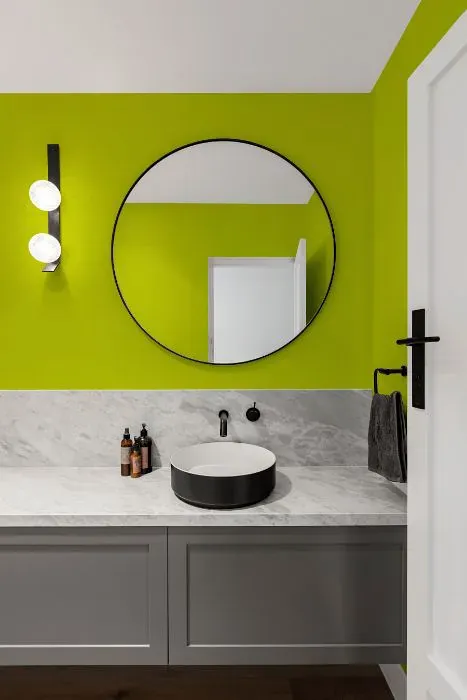 Benjamin Moore Yew Green minimalist bathroom