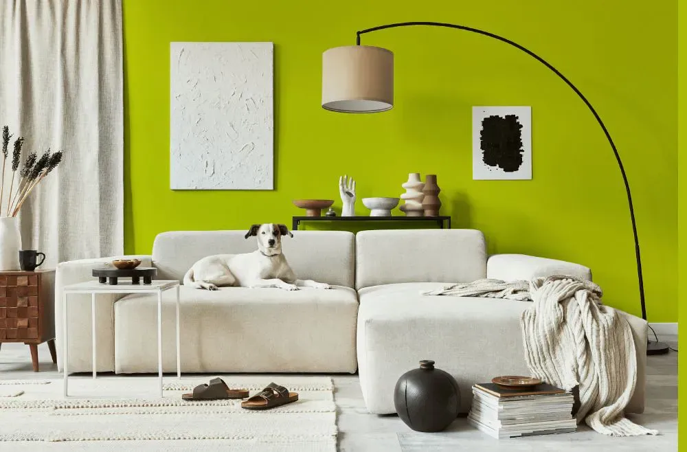 Benjamin Moore Yew Green cozy living room