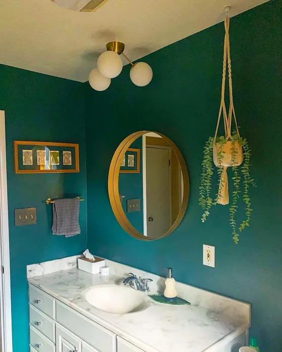 Benjamin Moore Yukon Green bathroom paint