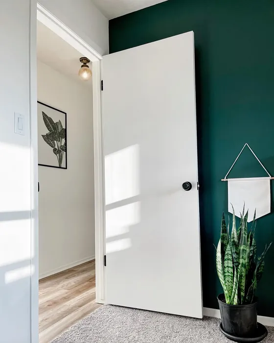 Benjamin Moore Yukon Green wall paint 