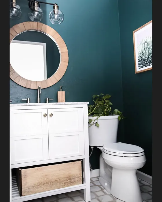 Benjamin Moore Yukon Green bathroom paint review