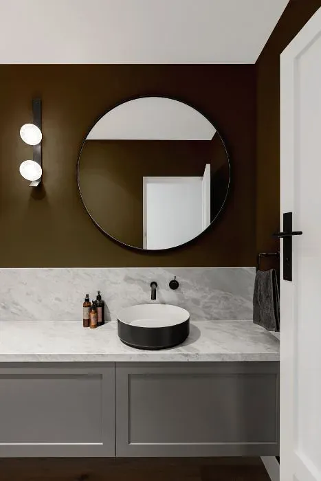 Sherwin Williams Best Bronze minimalist bathroom