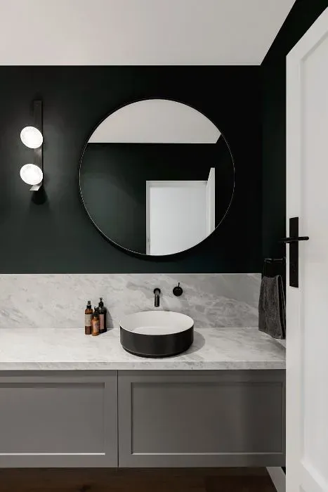 Sherwin Williams Big Dipper minimalist bathroom