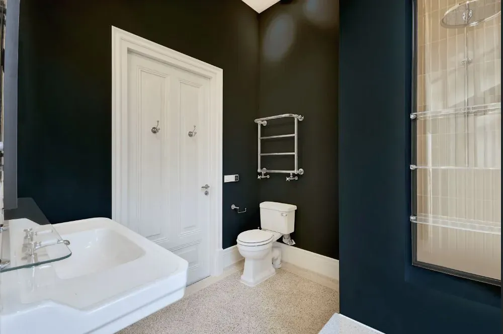 Sherwin Williams Big Dipper bathroom