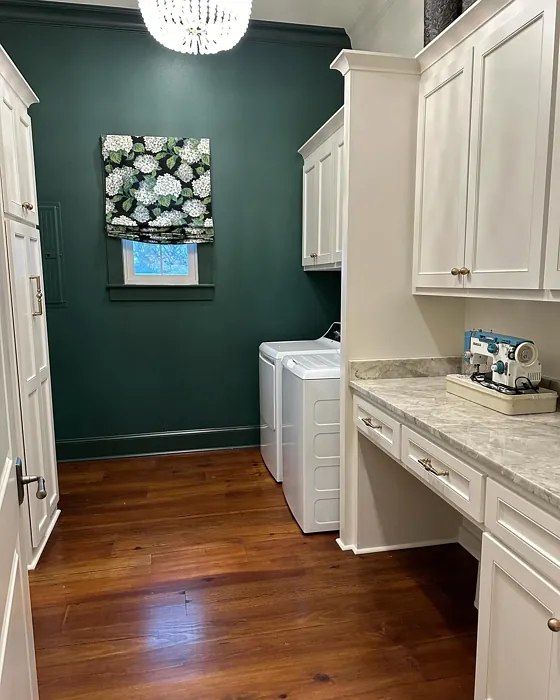 SW Billiard Green laundry room color