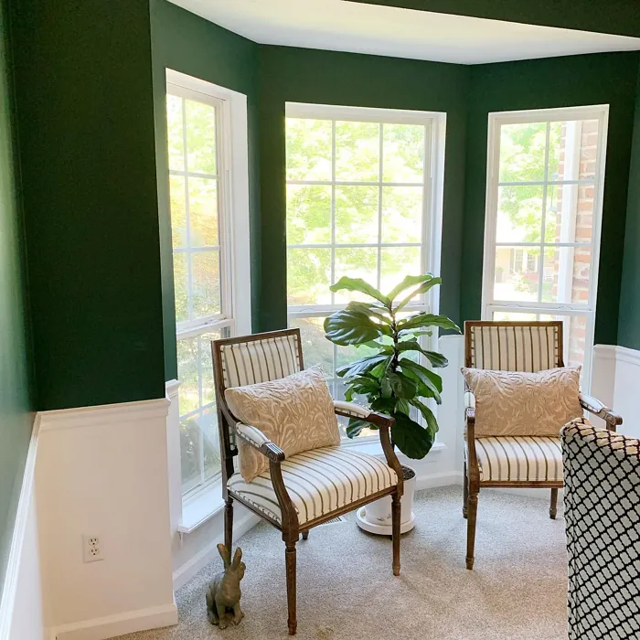 SW Billiard Green dining room makeover