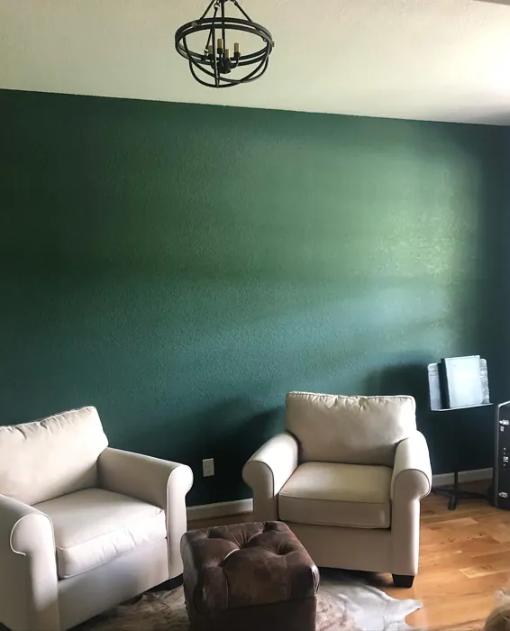 SW Billiard Green living room accent wall