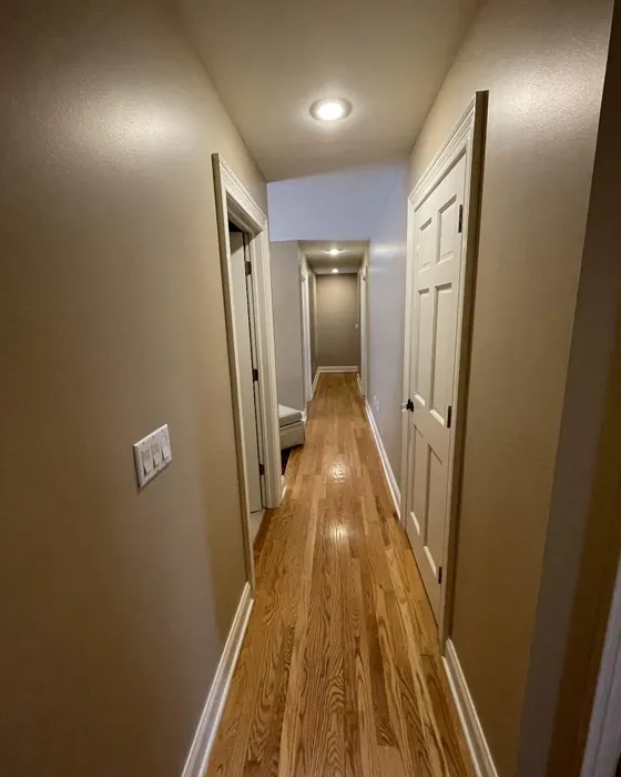 SW Bittersweet Stem hallway color