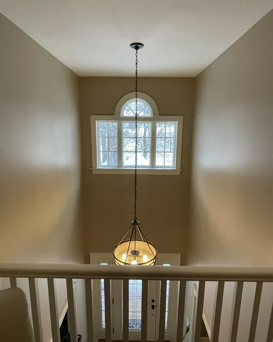 SW Bittersweet Stem entry color