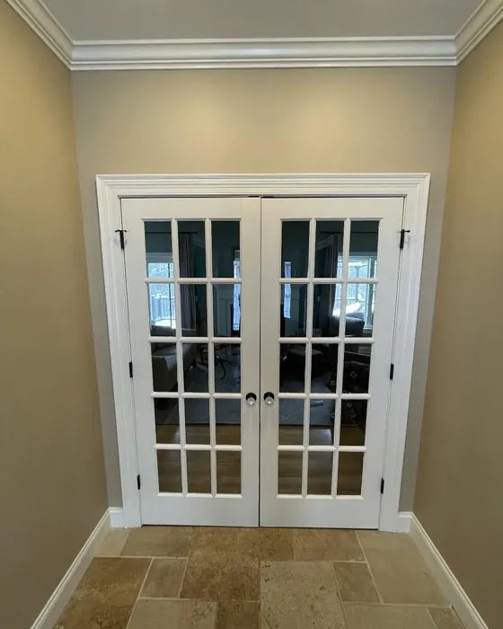 Sherwin Williams Bittersweet Stem wall paint 