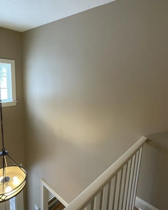 Sherwin Williams Bittersweet Stem wall paint paint review