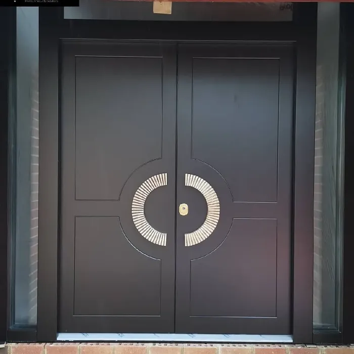 RAL Classic  Black brown front door color
