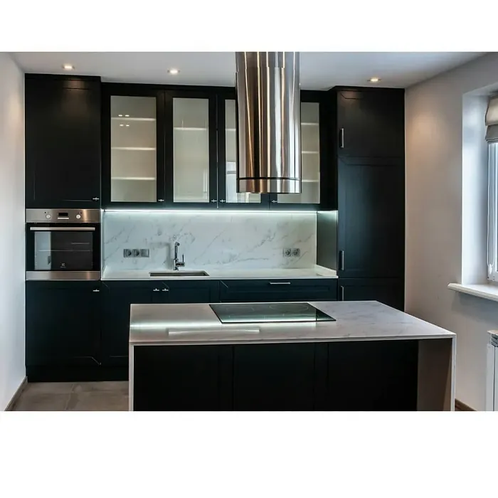 RAL 8022 kitchen cabinets paint review